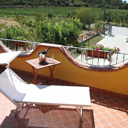 B&B Panta Rei Cicerale Phòng bức ảnh